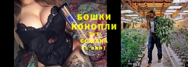 амф Балахна