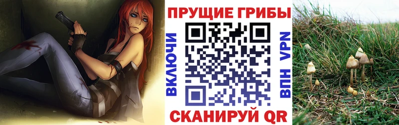 Галлюциногенные грибы прущие грибы  наркота  Томилино 